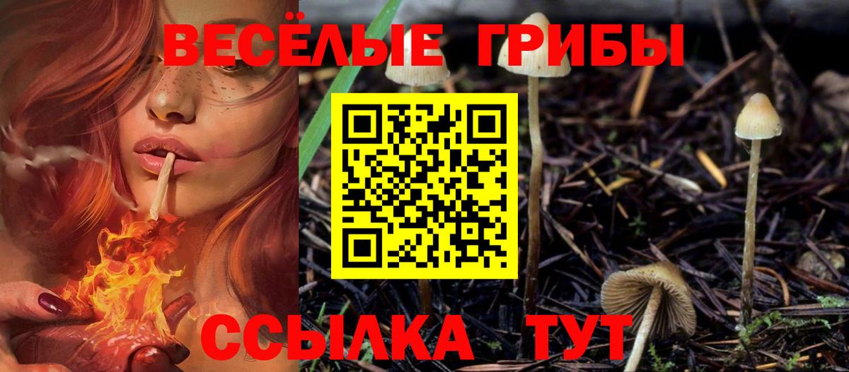 Галлюциногенные грибы MAGIC MUSHROOMS Ртищево