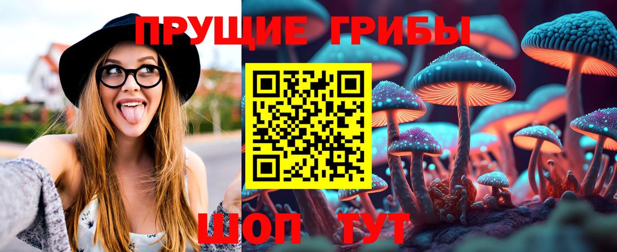 Псилоцибиновые грибы ЛСД  Псилоцибиновые грибы Cubensis  Ртищево  Вход с VPN 