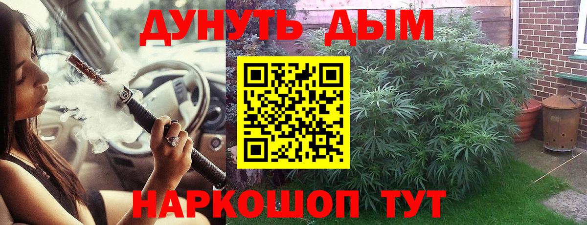 Марихуана сатива  Вход с VPN  Ртищево  Канабис OG Kush  Марихуана марихуана  Каннабис марихуана 